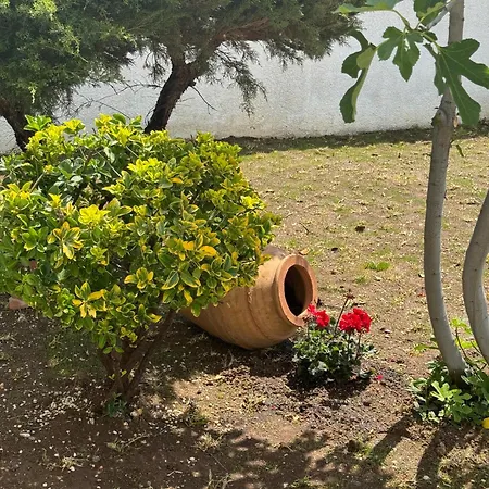 Semesterbostad Korina Posidhonía