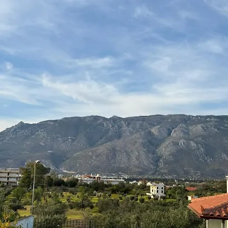 Korina *